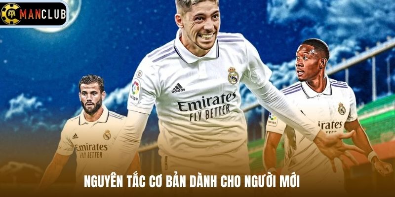 Nguyên tắc cơ bản dành cho người mới 