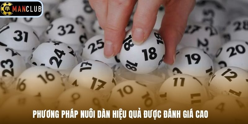 Phương pháp nuôi dàn hiệu quả được đánh giá cao