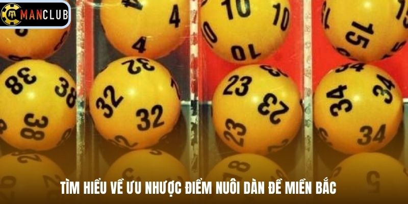 Tìm hiểu về ưu nhược điểm nuôi dàn đề miền Bắc