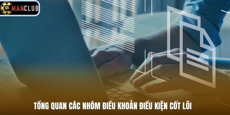 Tổng quan các nhóm điều khoản điều kiện cốt lõi